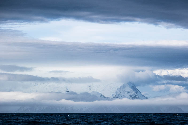 Elephant Island