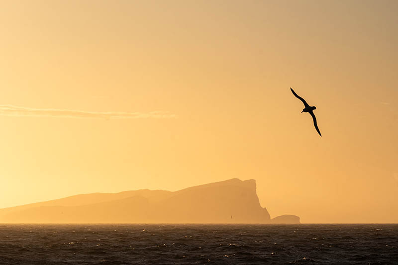 Falklands