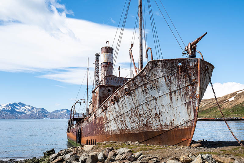 grytviken